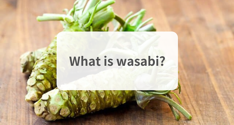 What Is Wasabi And Why Is So Good